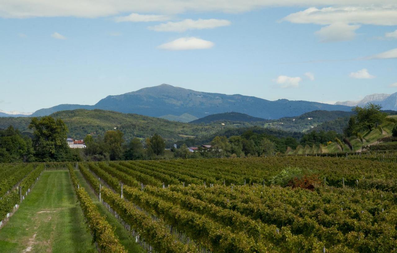 Alloggio Agrituristico Corte San Biagio Corno di Rosazzo Екстер'єр фото