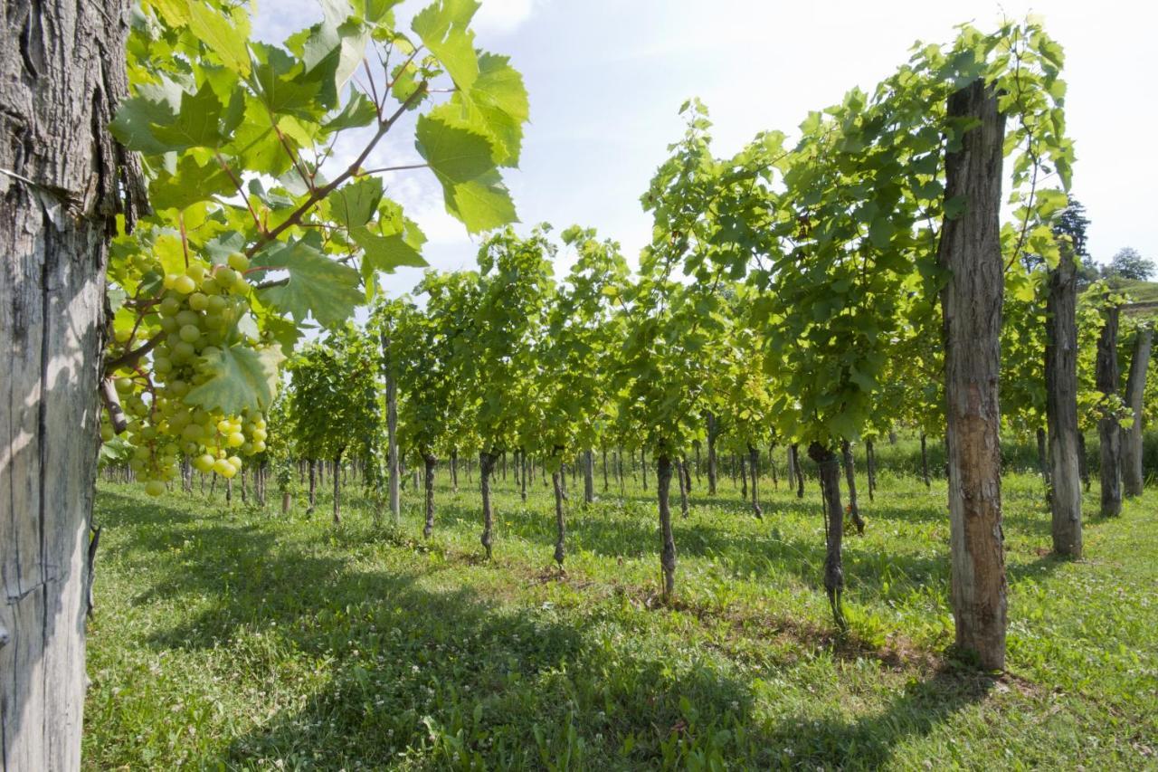Alloggio Agrituristico Corte San Biagio Corno di Rosazzo Екстер'єр фото