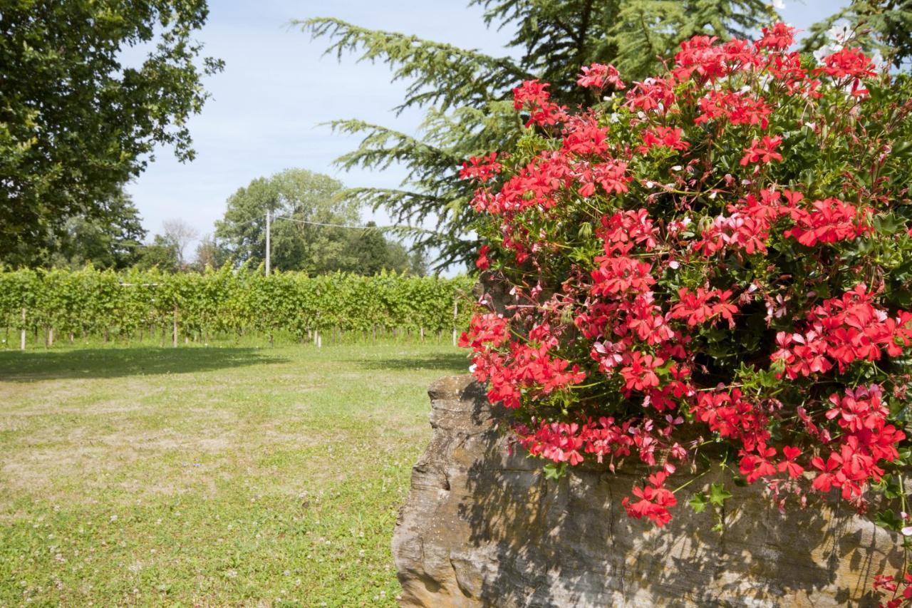 Alloggio Agrituristico Corte San Biagio Corno di Rosazzo Екстер'єр фото